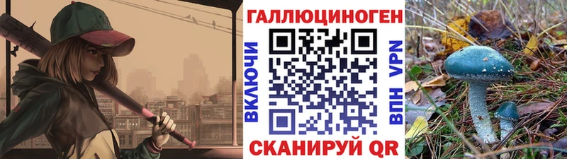 купить закладку  Сельцо  Псилоцибиновые грибы Psilocybine cubensis 